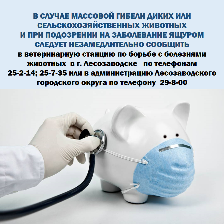 ящур на 13,02.png ящур на 13,02.png